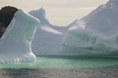 Photo: 
newfoundland F76T8270