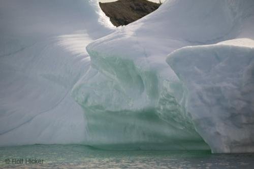Photo: 
newfoundland F76T8303