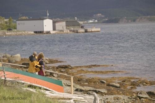 Photo: 
newfoundland F76T8441