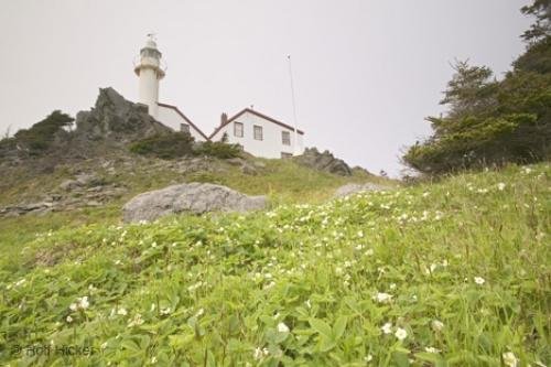Photo: 
Lighthouse Gros Morne National Park