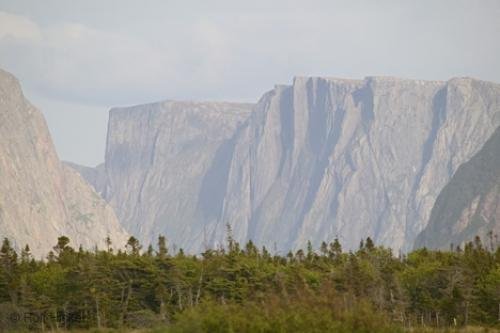 Photo: 
newfoundland F76T8793