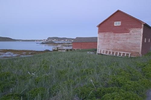 Photo: 
viking trail newfoundland fishing shed