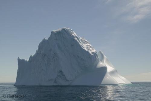 Photo: 
iceberg tour