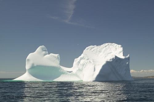 Photo: 
ice bergs