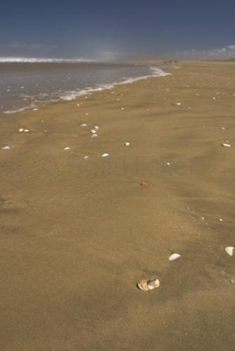 Photo: 
Sand Beach Coastline 90 Mile Beach Northland NZ
