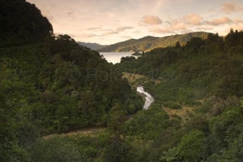 Photo: 
Urewera National Park
