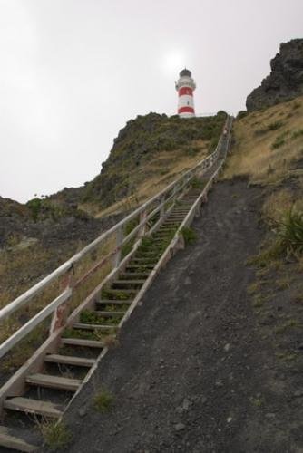 Photo: 
Steep Climb Cape Palliser Lighthouse