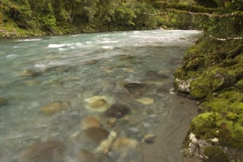 Photo: 
Fjordland National Park Track Lake Marian