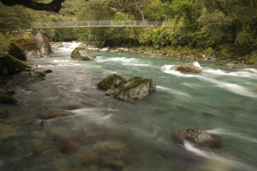 Photo: 
Fiordland National Park