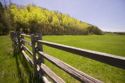 Photo: 
Niagara Escarpment