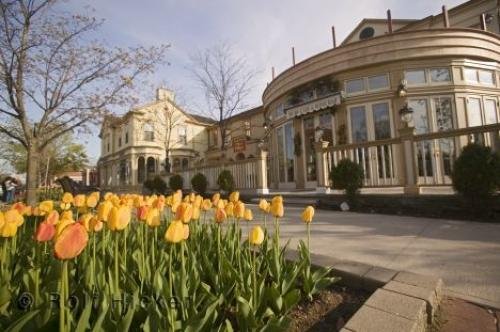 Photo: 
niagara on the lake ontario