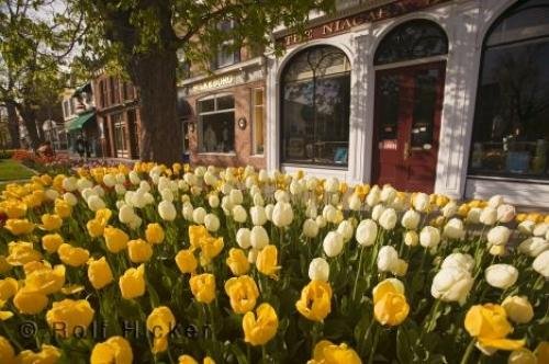 Photo: 
niagara on the lake Spring Season