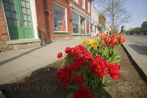 Photo: 
niagara spring