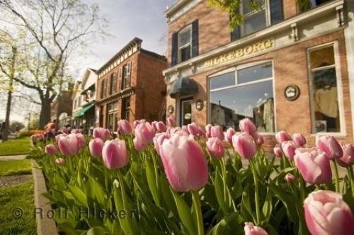 Photo: 
niagara town