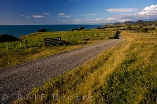 Photo: 
North Taranaki Bight Farmland Scenery New Zealand