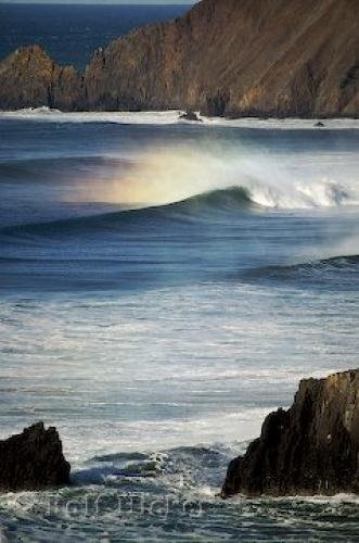 Photo: 
Ocean Reef