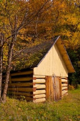 Photo: 
Old Hut And Fall Leaves Picture
