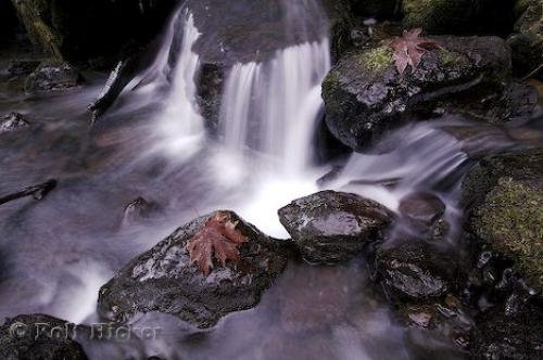 Photo: 
Olympic National Park Waterfall