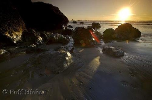 Photo: 
Olympic Park Beaches