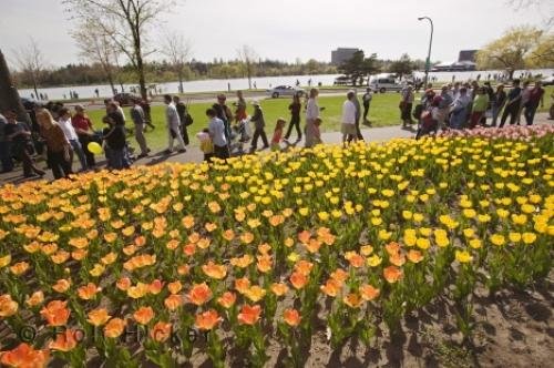 Photo: 
ottawa ontario