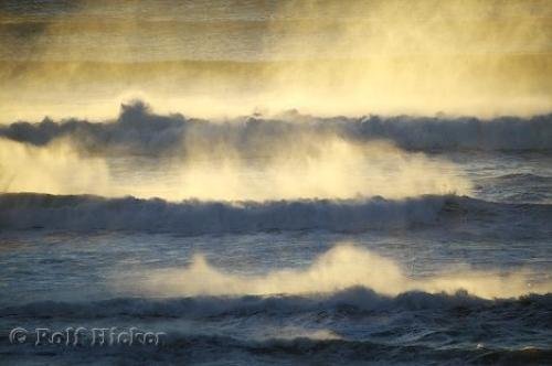Photo: 
Pacific Ocean Images