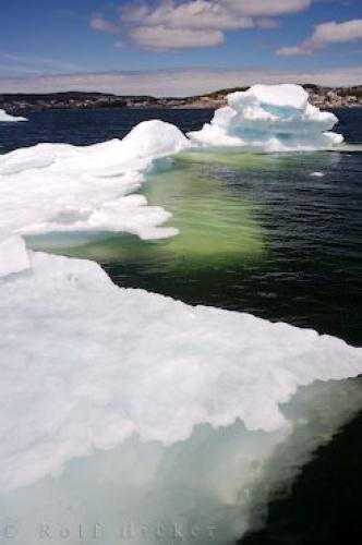 Photo: 
Pack Ice Picture Newfoundland