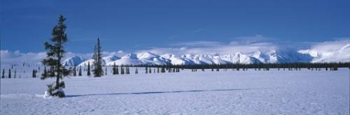 Photo: 
alaska range
