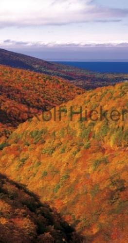 Photo: 
Cape Breton Autumn