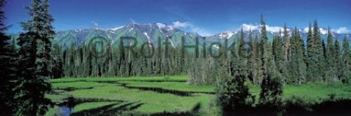 Photo: 
cassier highway panoramic picture