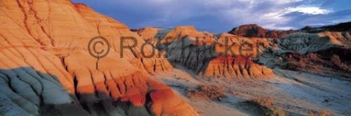 Photo: 
panoramic dinosaur