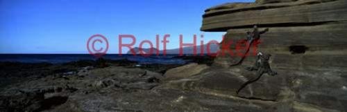 Photo: 
galapagos photos