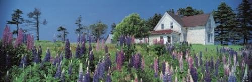 Photo: 
panoramic photo