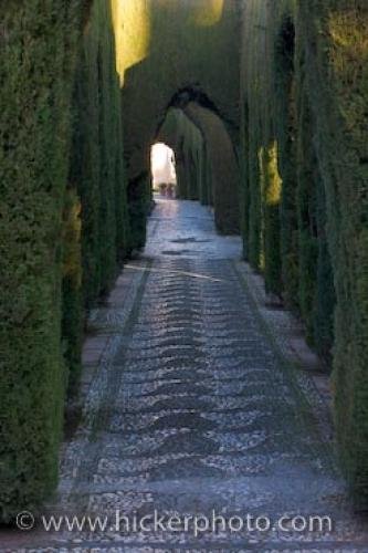 Photo: 
Pebble Path Historical Gardens Generalife Granada