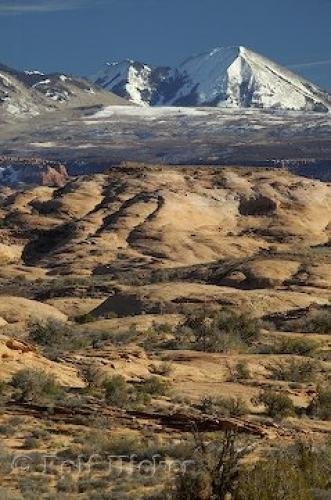 Photo: 
Photo Of Petrified Dunes