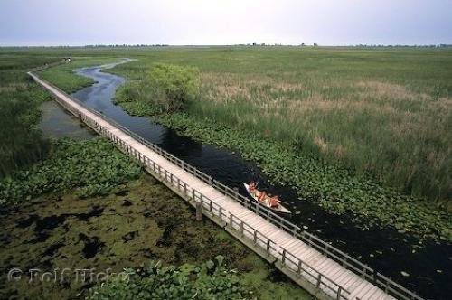 Photo: 
Point Pelee Ontario