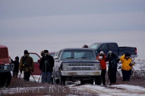 Photo: 
Polar Bear Photo Workshop Churchill Manitoba