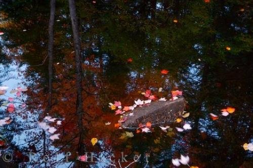 Photo: 
Pond Reflections Parc National Du Mont Tremblant Quebec