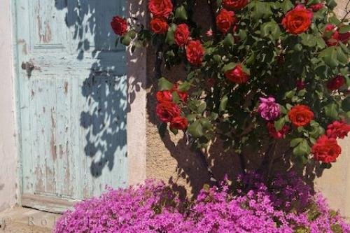 Photo of red roses towering over delicate purple flowers outside a villa door near Pont du Loup, France. Photo: 
Pont Du Loup Flowers