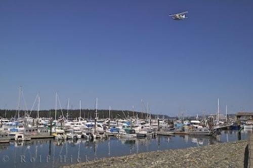Photo: 
Port McNeill Waterfront