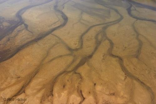Photo: 
Puddle Of Mud