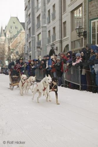 Photo: 
quebec-F76T0497