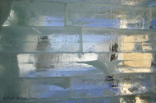 Photo: 
quebec-F76T0761