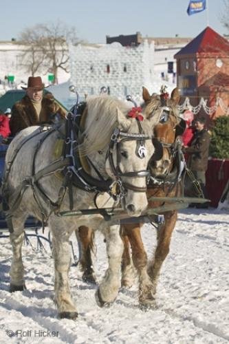 Photo: 
quebec-F76T0843