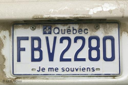 Photo: 
License Plates