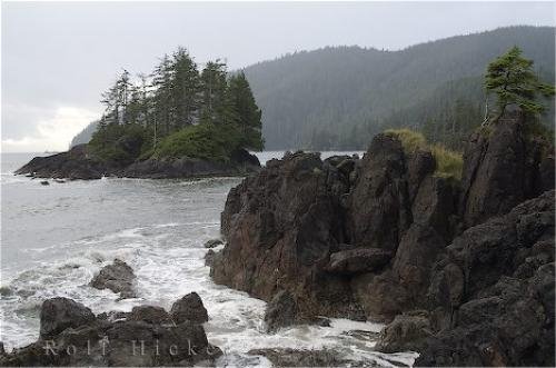 Photo: 
Raft Cove West Coast