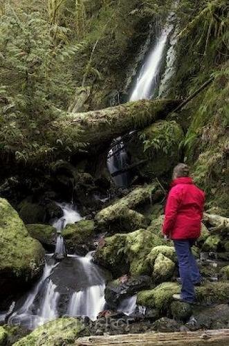 Photo: 
Rain Forest Waterfall