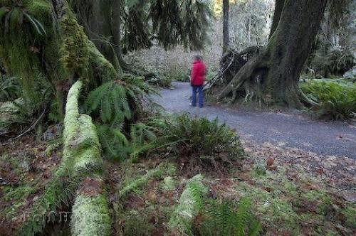 Photo: 
rainforest photos