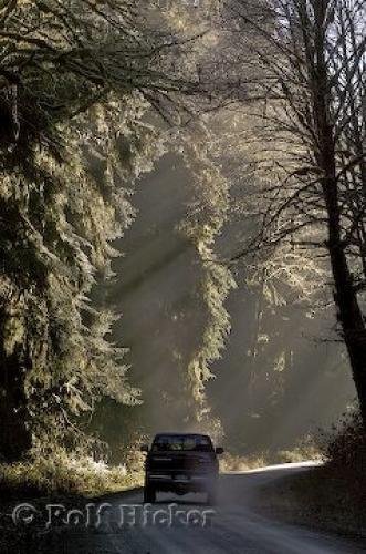 Photo: 
Rainforest Road