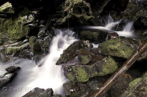 Photo: 
rainforest streams