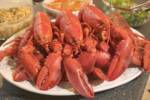 Photo: 
Picture Of Red Lobsters Newfoundland
